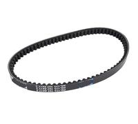 Cintura a guida dentale Compatibile con il divieto 50 90 110 90 50 Modelli ATV 2007-2018