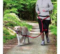 Cintura addominale con guinzaglio per cani di taglia media e grande Cintura: 70-120 cm/12 cm, Guinzaglio: 1,10-1,50 m/20 mm nero/grafite