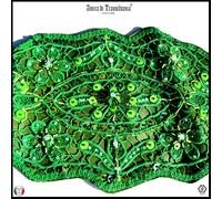 cintura alta bustier da donna macramè finta pelle ricamata perline strass pietre