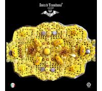 cintura alta da vestito donna corsetto ecopelle ricamata uncinetto macrame fiore