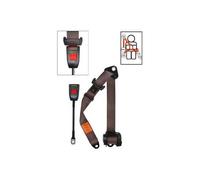 Cintura anteriore SECURON Marrone 4 punti con avvolgicavo per T25