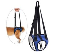 Cintura ausiliaria da passeggio per zampe posteriori Sollevatore per cani