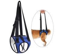 Cintura ausiliaria per il trasporto del cane Sollevatore per cani anziani