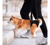 Cintura ausiliaria per il trasporto del cane Sollevatore per cani anziani