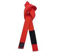 Cintura brasiliana per jiu-jitsu giovanile con sistema di grado BJJ sotto i 16 anni, larghezza 4 cm, per bambini, bianco, grigio, giallo, arancione, verde, Arancione, 240cm