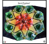 cintura da donna a vita alta moda ecopelle macrame paillette bustier fiore lusso