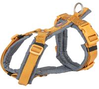 Cintura da trekking premium 53-64 cm/20 mm curry/grafite