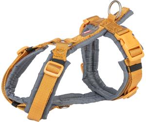 Cintura da trekking premium 53-64 cm/20 mm curry/grafite