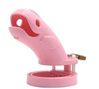 Cintura di castitÃ , rosa