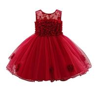 Cintura di compleanno Pageant fiori baby shower abito da sposa principessa vestiti e gonna, Colore: rosso, 12-24 Mesi