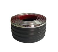 Cintura Di Prevenzione Collisioni Gonna Laterale Ai Graffi Con Modifica Del Corpo Striscia Decorativa Universale Spessa Protezione Bordi Portiere(Silver-6CMx2M)