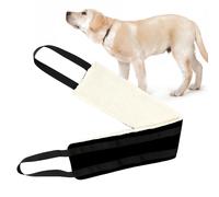 Cintura di sollevamento per gambe di cane disabili per anziani Cintura di