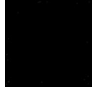 Cintura di Supporto per La Schiena, Facile Da Usare, Ideale per L'allenamento