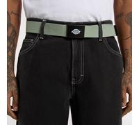 Cintura Dickies Orcutt verde iceberg Taglia 39/42