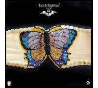 Cintura Donna Firmata Occasioni Speciali Ricamata Strass Paillette Farfalla Rara