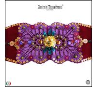 cintura donna larga vita alta velluto ricamata uncinetto elegante fiori strass