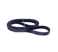 Cintura for lavatrice, compatibile con Midea, 1281J5 | Sostituzione cinghia in gomma Poly-Vee, compatibile con Electrolux, 1281 mm