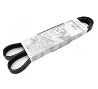 Cintura originale nuova Serpentine Poly V-Ribbed Audi VW Seat Skoda...