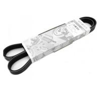 Cintura originale nuova Serpentine Poly V-Ribbed Audi VW Seat Skoda...