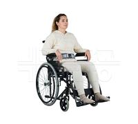 Cintura Pelvico Addominale