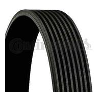 CINTURA V-Ribbed CONTINENTALE CTAM 8PK1786 Per BMW
