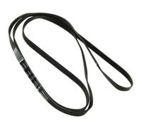Cinture 1951 H6 Poly V riferimento: 9615214 per Brandt