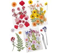 Cinvo 54 genuino Secco pressato Fiori e Foglie Naturale Secco petali Verde con Pinze per Candele Resina Gioielli Sapone Unghie pendenti Cassa del telefono Artigianato Fare Fiori decorazione fai da te
