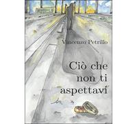 Ciò che non ti aspettavi di Vincenzo Petrillo, 2016, Youcanprint