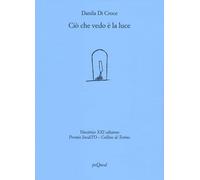 Ciò che vedo è la luce