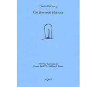 Ciò che vedo è la luce