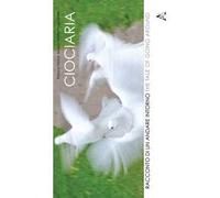 Ciociaria. Racconto di un andare intorno-The tale of going around. Ediz. bilingue