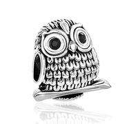 Ciondoli a forma di gufo e uccello, compatibili con braccialetti Pandora, per donne, figlia, festa della mamma, regalo di compleanno, Misura unica, Rame, Nessuna pietra preziosa