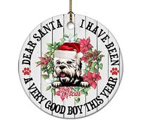 Ciondoli Per Albero Di Natale Custom Dear Santa I Have Been A Very Good Boy This Year Pomeranian Dog Ornamento Natalizio In Ceramica Con Corda D'Oro Stampato Su Due Lati Ciondoli Etichette Decor
