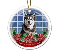 Ciondoli Per Albero Di Natale Personalized Dog Name Santa I Can Explain Natale Ornamenti Pendenti Personalizzato Stampato Su Due Lati Ciondoli Etichette Decor