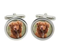 Ciondoli Per Il Nova Scotia Duck Tolling Retriever In Scatola Di Cromo