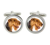 Ciondoli Per Welsh Terrier In Scatola Di Cromo