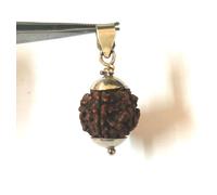 Ciondolo 7 Mukhi Rudraksha/Seven Face Rudraksh Nepal Bead Silver - CERTIFICAT...