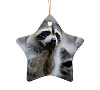 Ciondolo a forma di albero di Natale in ceramica, a forma di stella, simpatico procione natalizio, decorazione natalizia per interni, casa, vacanze, feste