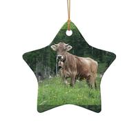 Ciondolo a forma di albero di Natale in ceramica, a forma di stella, vera mucca svizzera marrone, ornamenti decorativi da appendere, decorazione natalizia per interni, casa, vacanze, feste