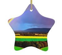 Ciondolo a forma di stella di Natale arcobaleno in ceramica con fori perforati e corda metallica dorata, decorazione per la casa dell'albero di Natale