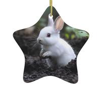 Ciondolo a forma di stella in ceramica da appendere, motivo: WHJSSF coniglio bianco che gioca nel fango, decorazione per centri commerciali, supermercati, negozi