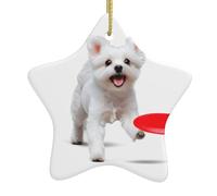 Ciondolo a forma di stella in ceramica per albero di Natale qqoupp Puppy che gioca con frisbee stampato accuratamente forato con corda in metallo