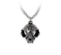 Ciondolo Alchemy Gothic My Forever Friend - Nuovo Di Zecca