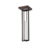 Ciondolo Cage in Bronzo