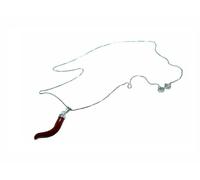 Ciondolo in Argento 925 Corno di Corallo Rosso e con Catenina Cornetto da Uomo