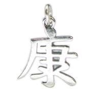 Ciondolo in argento sterling carattere salute cinese .925 x 1 ciondoli sani