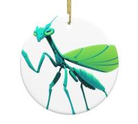 Ciondolo rotondo in ceramica natalizia YTUOPWE Glow in-Dark Mantis Picture Festive Tree Hanging Decoration