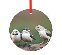 Ciondolo rotondo in vetro con stampa di tre uccellini, ornamento da appendere all'albero di Natale per vacanze, casa, ufficio con cordino rosso