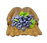 Ciotola a forma di mano - di frutta | Supporto a mano Buddha in legno per ciotola per chiavi in pietra ciotola a mano decorativa per display roccia, 7,09 x 5,12 x 1,97 pollici