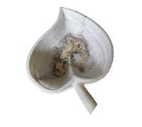 Ciotola Centrotavola Foglia in Onice Bianco White Onyx Leaf Bowl Vase ø 50cm